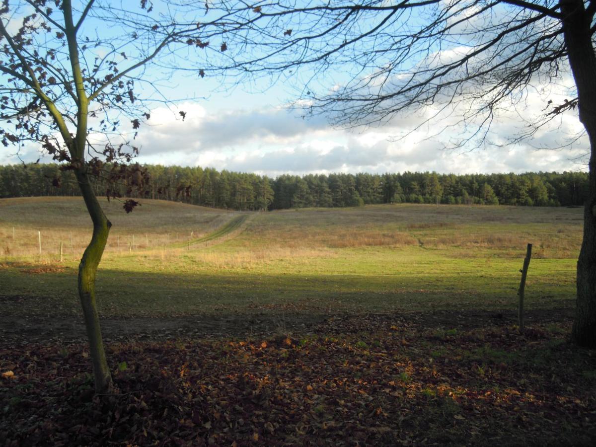 Lenzer Ferienidyll Am Plauer See Buitenkant foto